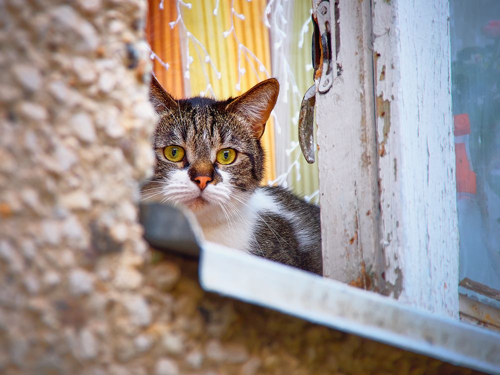 Photograph by Владимир Каюков