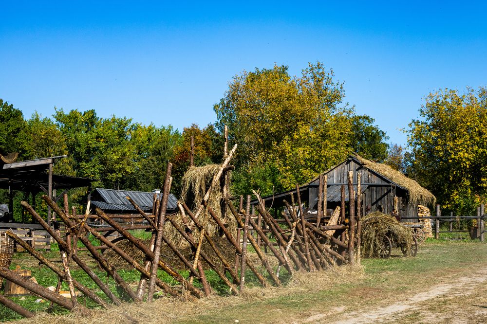 Photograph by Буданова Мария