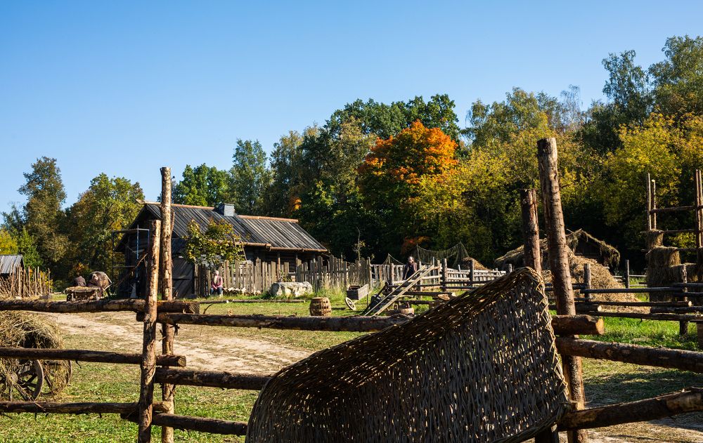 Photograph by Буданова Мария