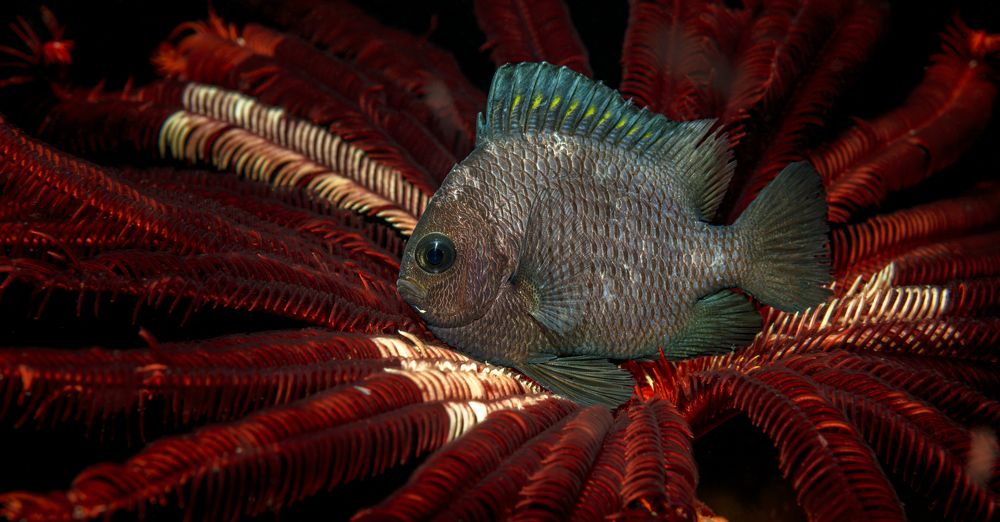 Photograph by Савин Андрей