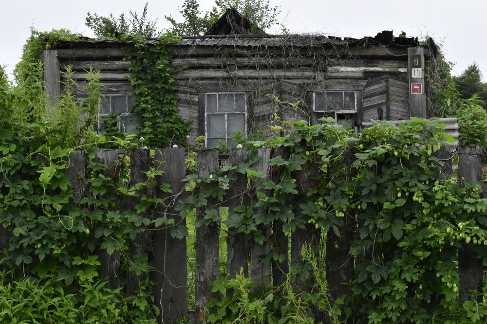 Photograph by Irina Luidinshina