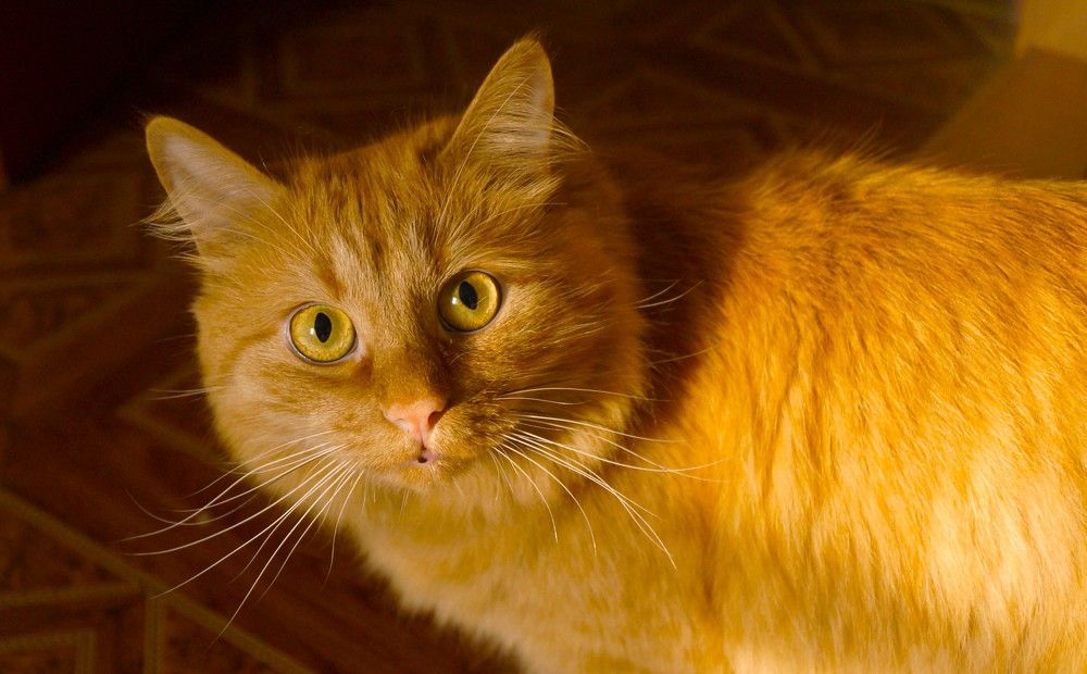 Photograph by Алия Байсыкова