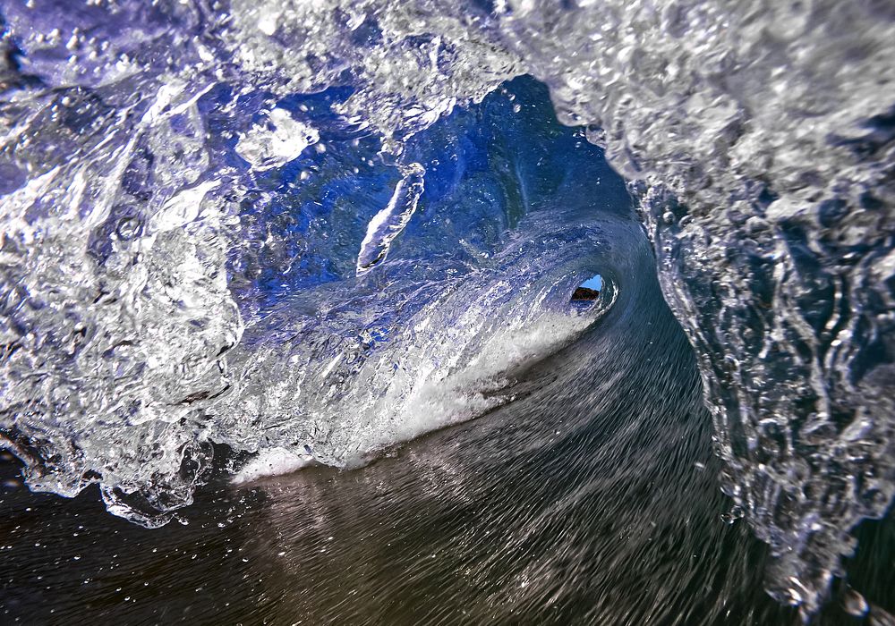 Photograph by Michael Dunstan