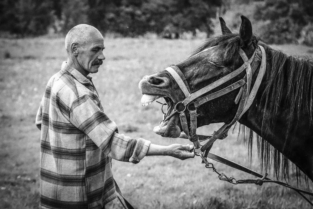 Photograph by (AlexOldmanPhoto) Алексей Стариков