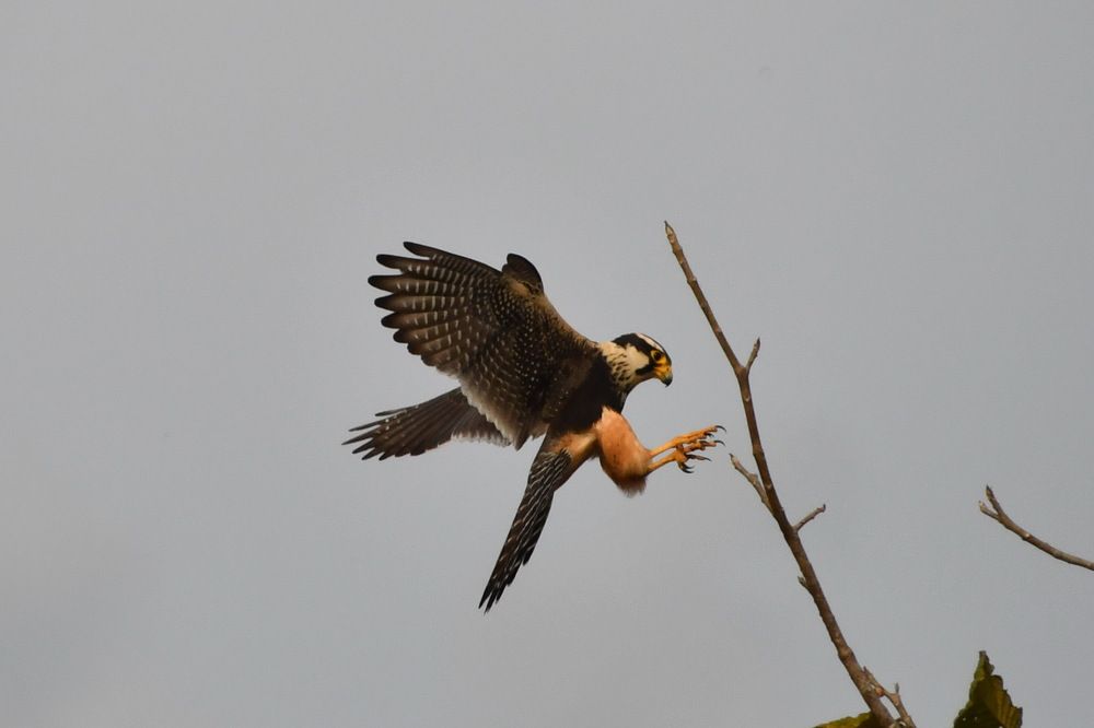 Photograph by Marzio Fattorini