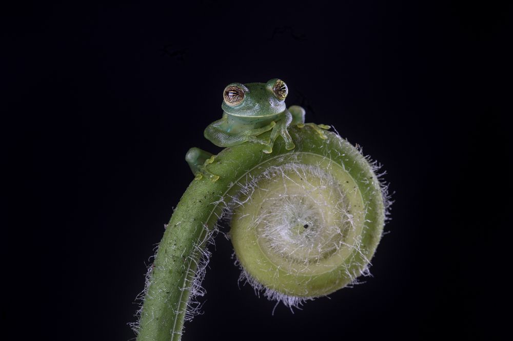 Photograph by L Zapata