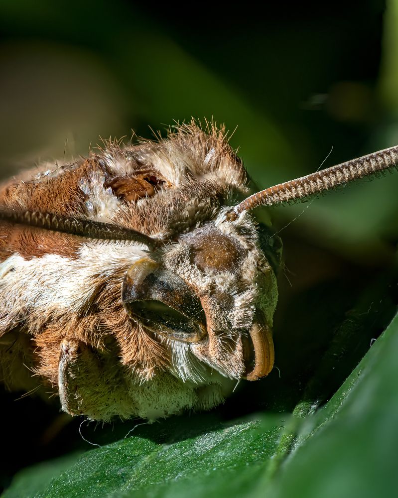 Photograph by Алексей Торлопов