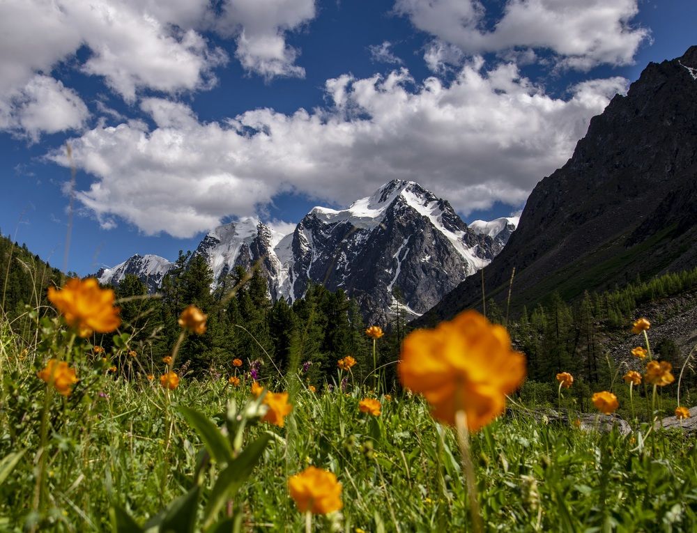 Photograph by Пономарева Антонина