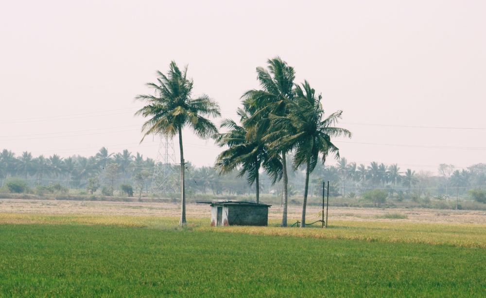 Photograph by Dhaneshkumar Dhaneshkumar Dakshinamoorthy