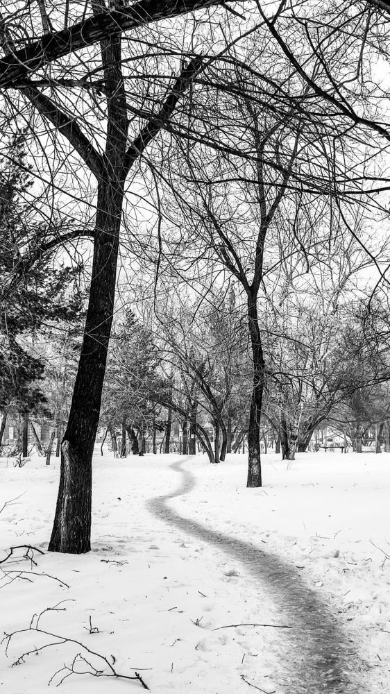 Photograph by Анастасия Семкина