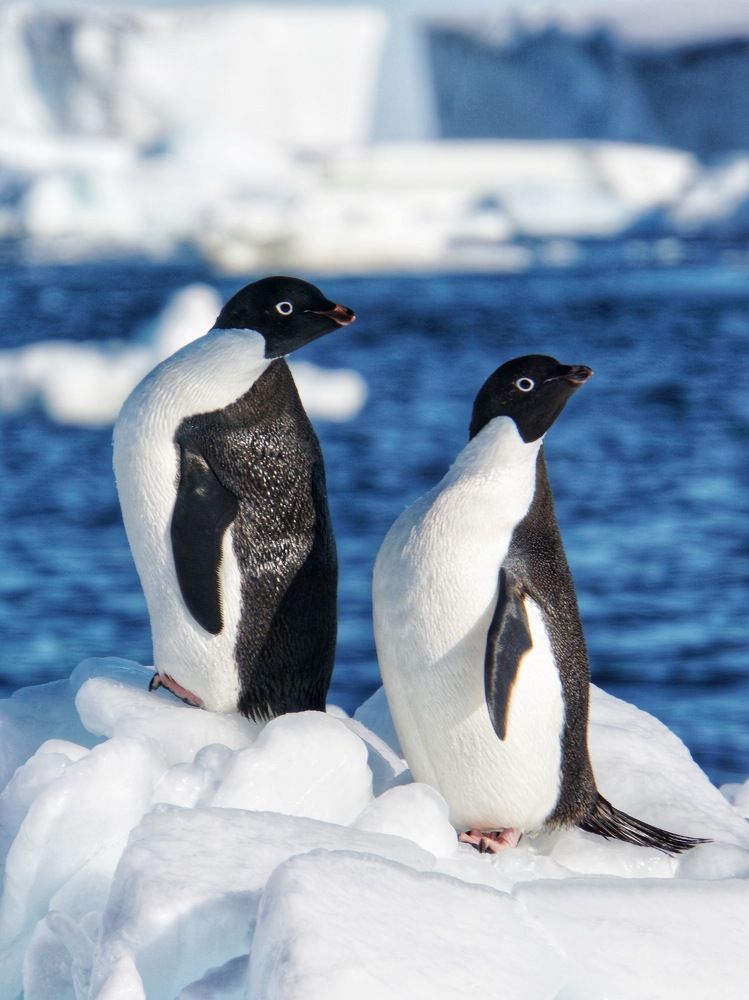 Photograph by Tatyana