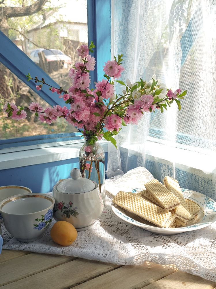 Photograph by Дарья Целуйко