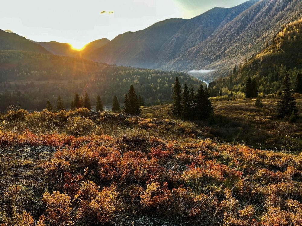 Photograph by Кузнецов Андрей