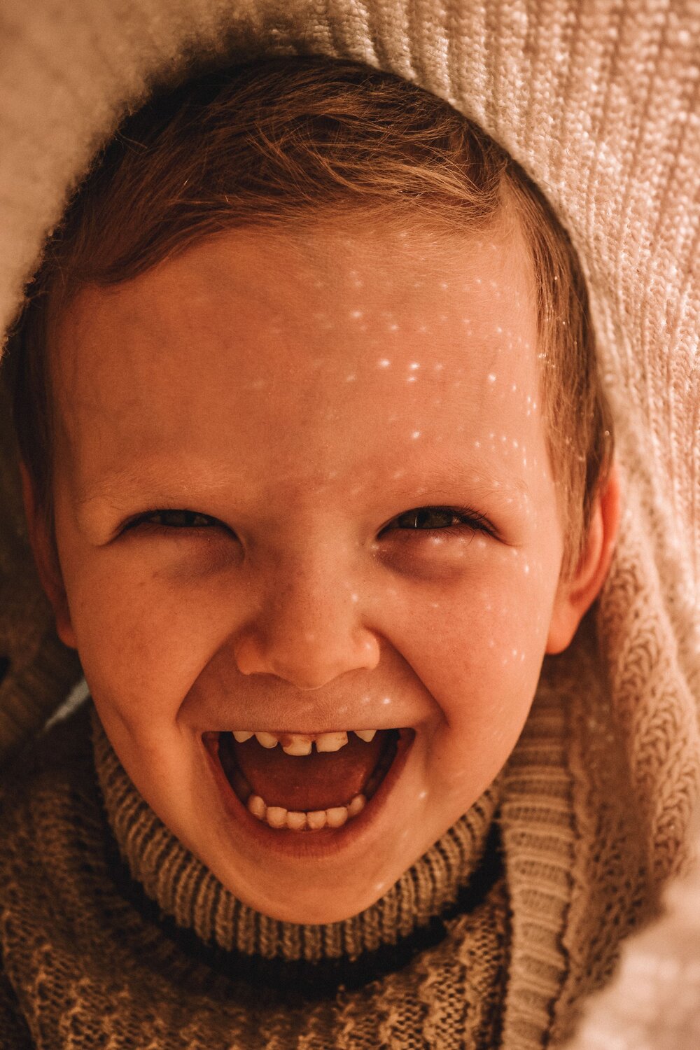 Photo #10310356