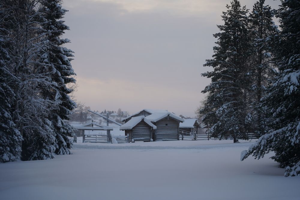 Photograph by Дмитрий Цикин