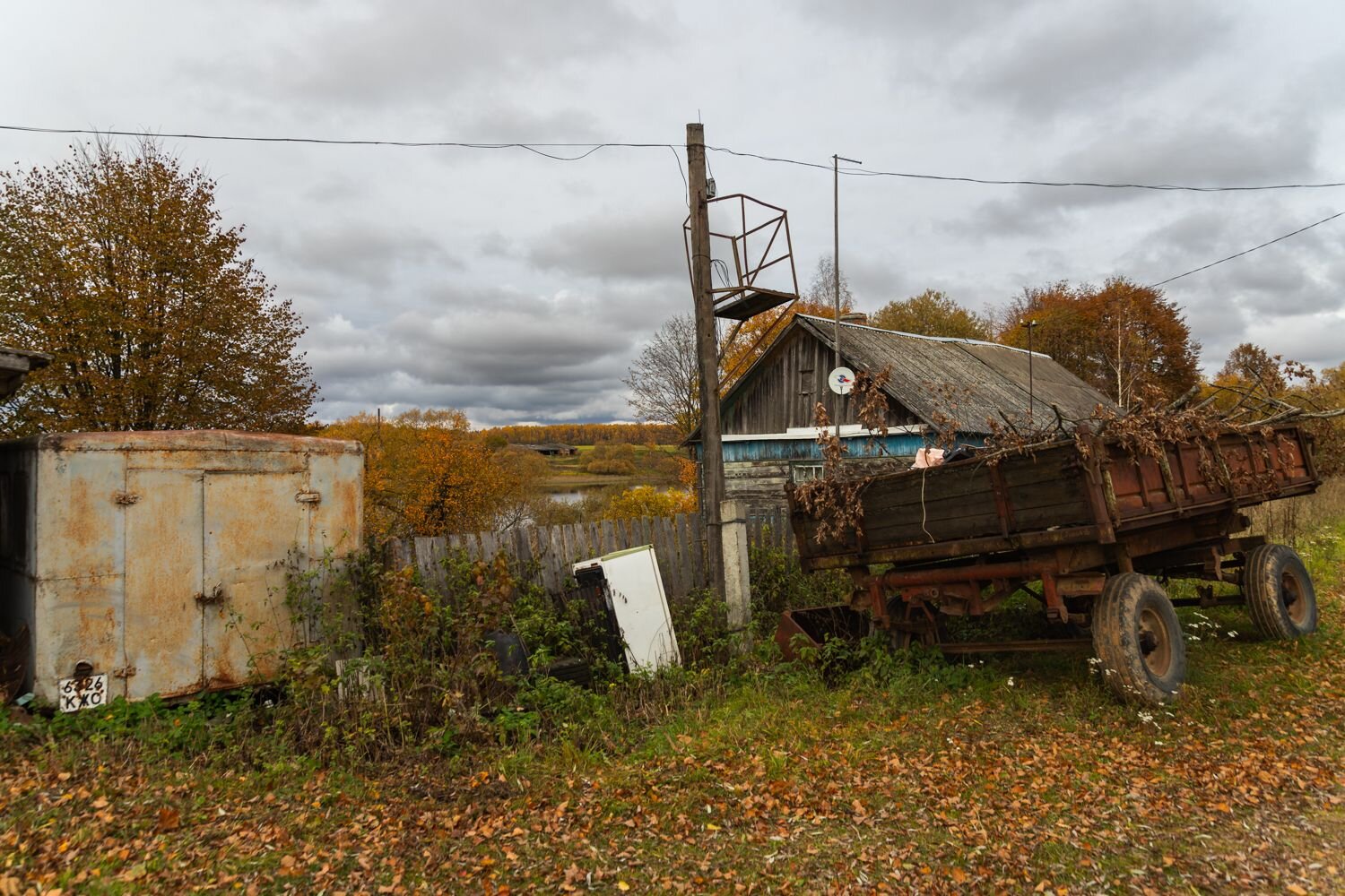 Photo #10310406