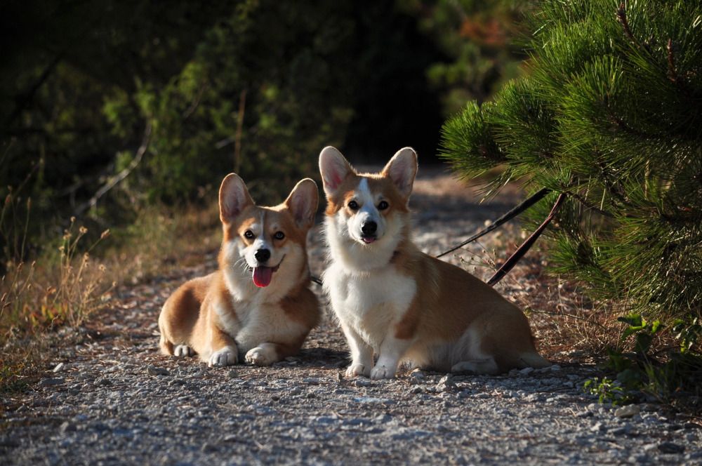 Photograph by Ирина