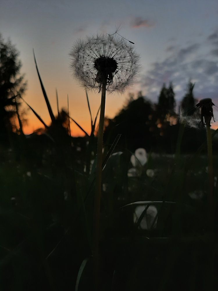 Photograph by Марина Слепова