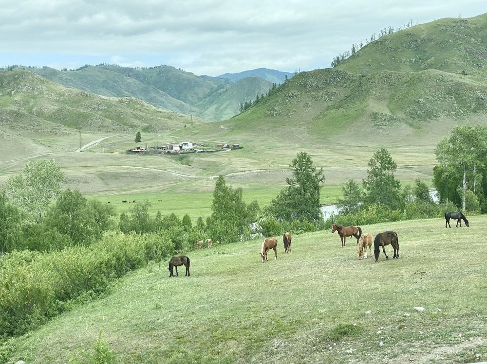 Фотография автора Ольга Горюнова