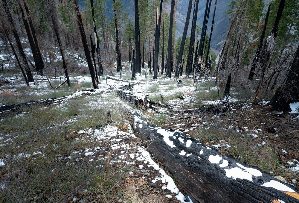 Photograph by Alexander Efimenko