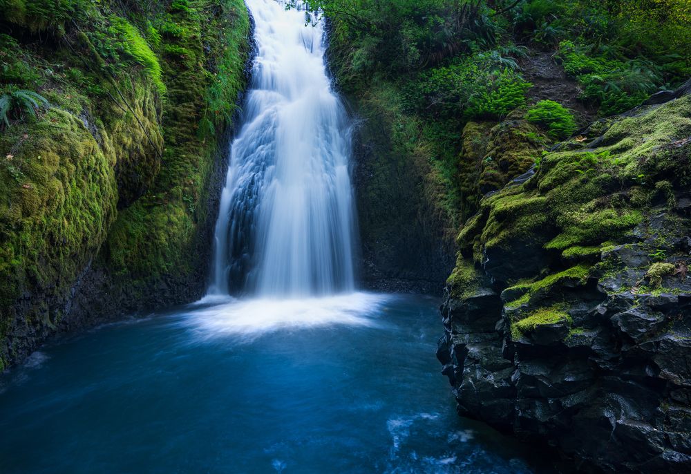 Photograph by Alexander Efimenko