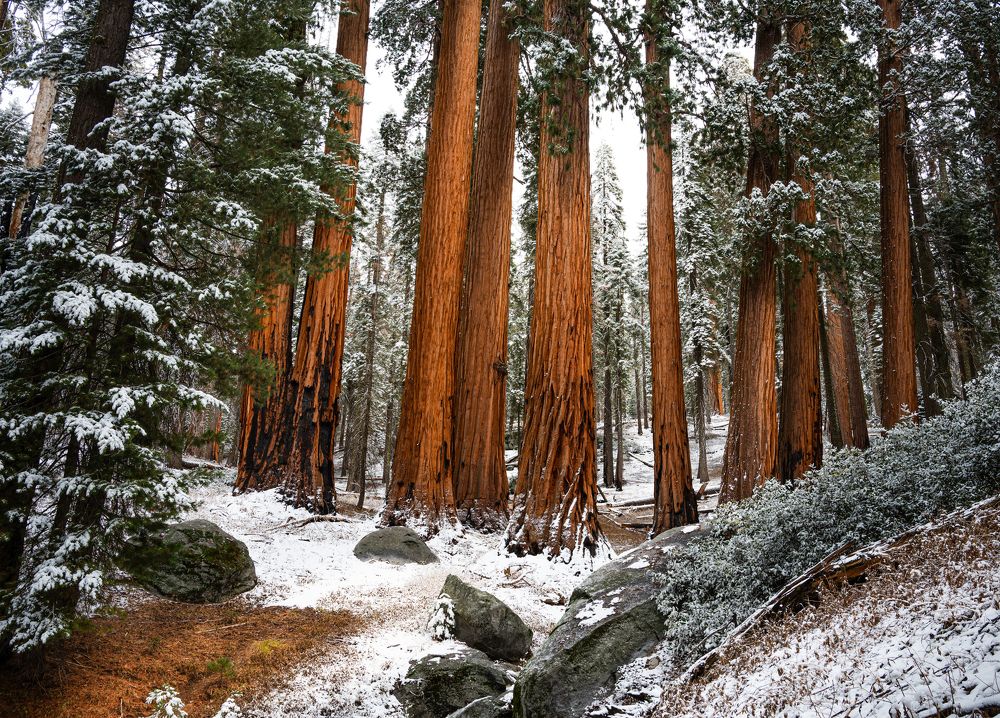 Photograph by Alexander Efimenko