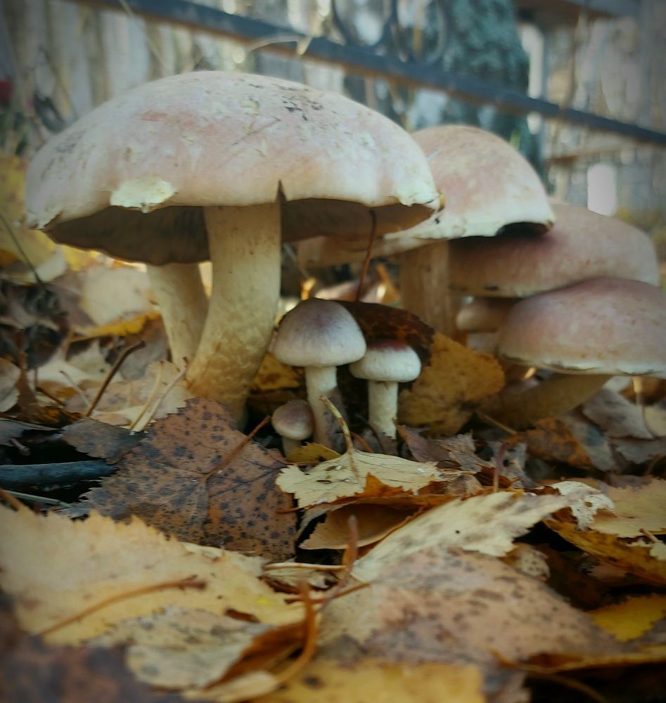 Photograph by Татьяна Гатиятуллина