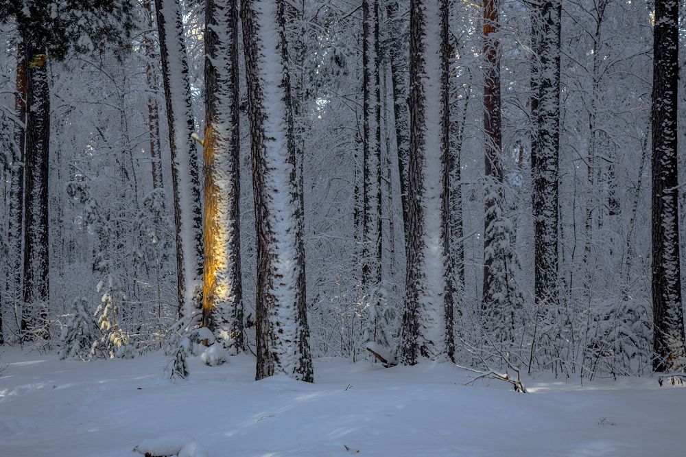 Photograph by Дмитрий Алексеев