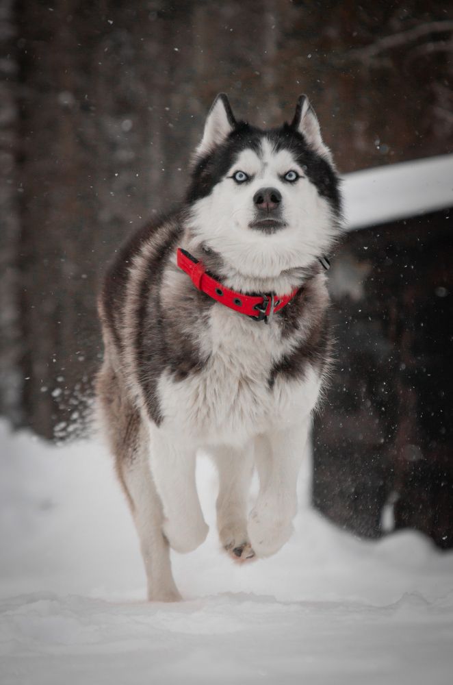 Photograph by Елизавета