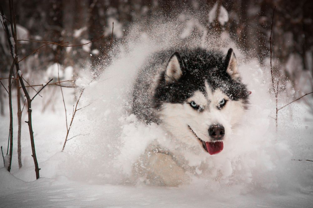 Photograph by Елизавета