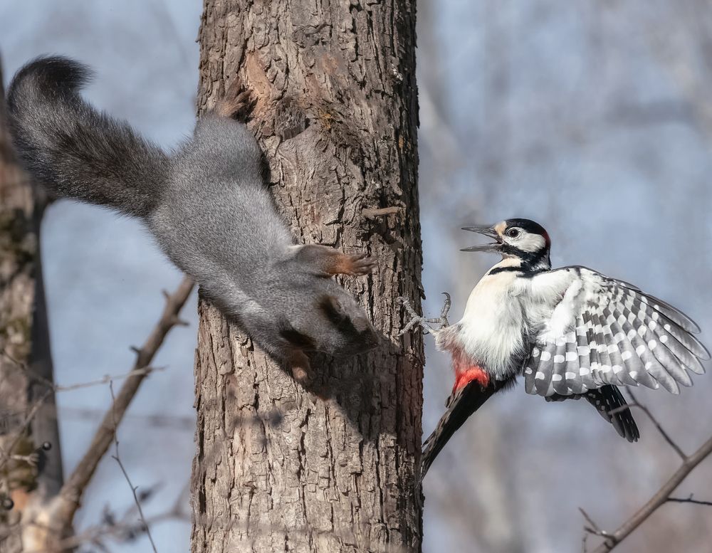 Photograph by Фомина Марина