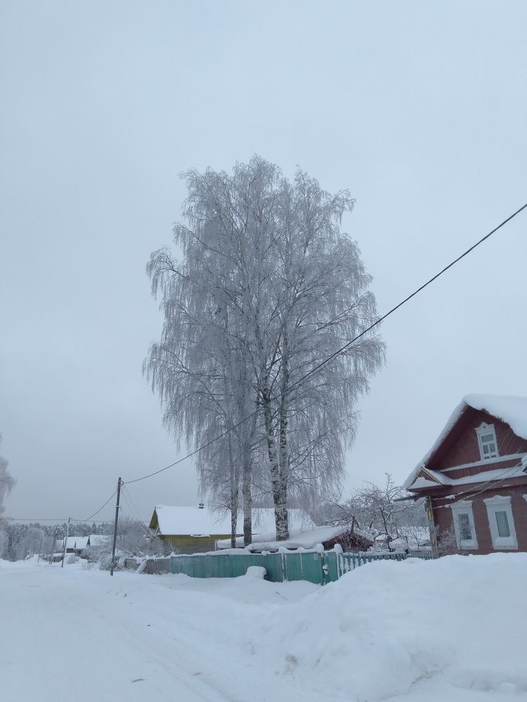 Photograph by Елена Малкова