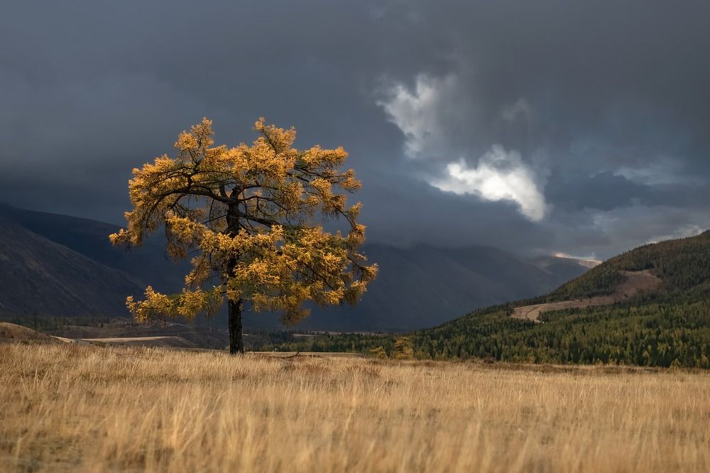 Photograph by Фомина Марина