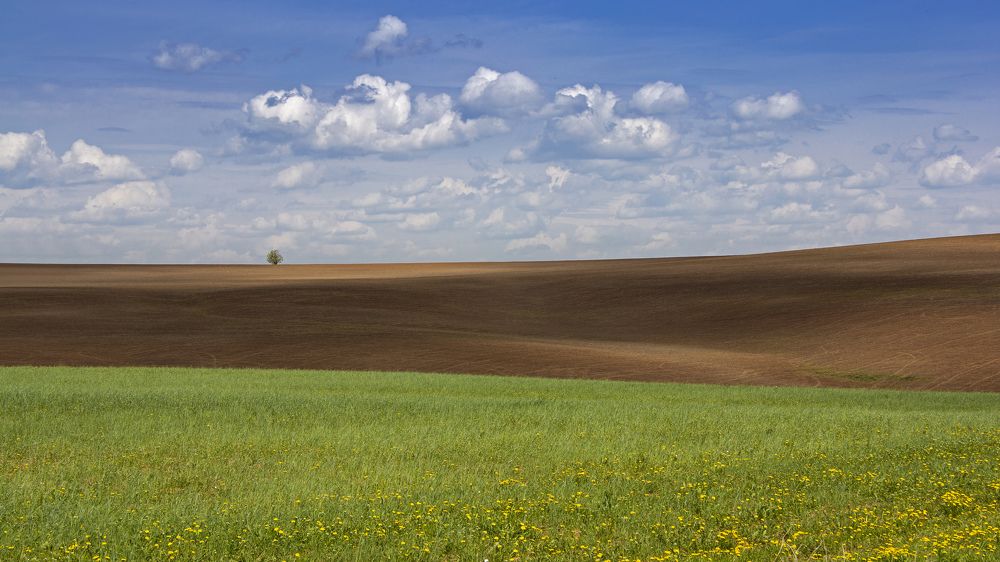 Созерцая тишину