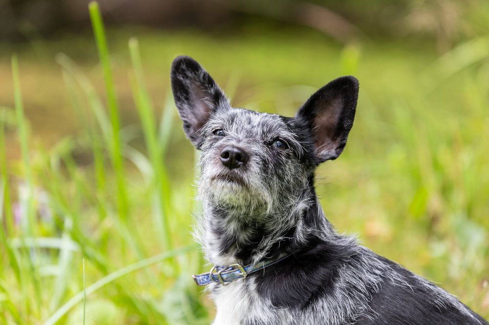 Photograph by Илья Сторожко