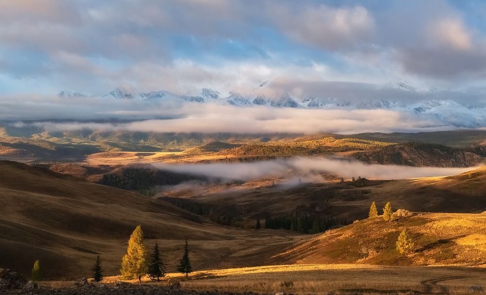 Photograph by Фомина Марина