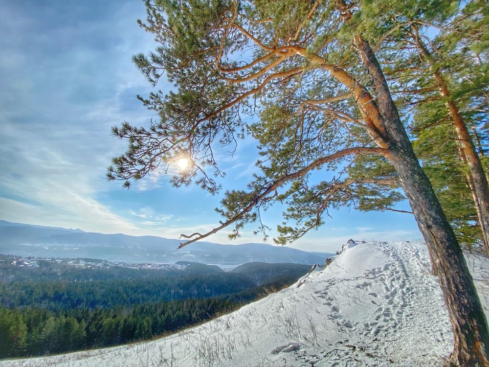 Photograph by Светлана Дмитриева