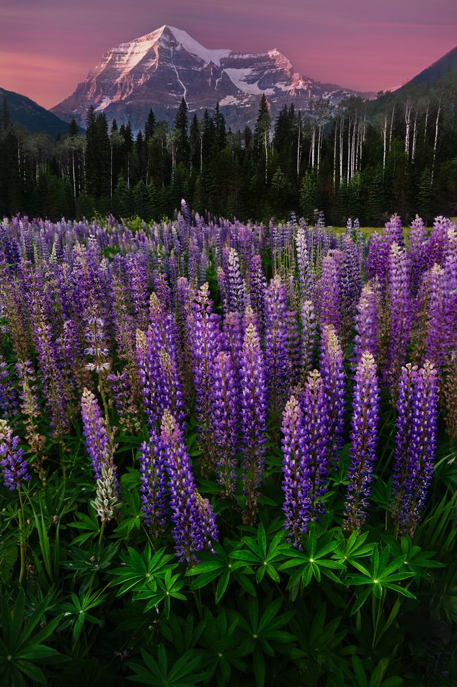 Photograph by Marina Poushkina