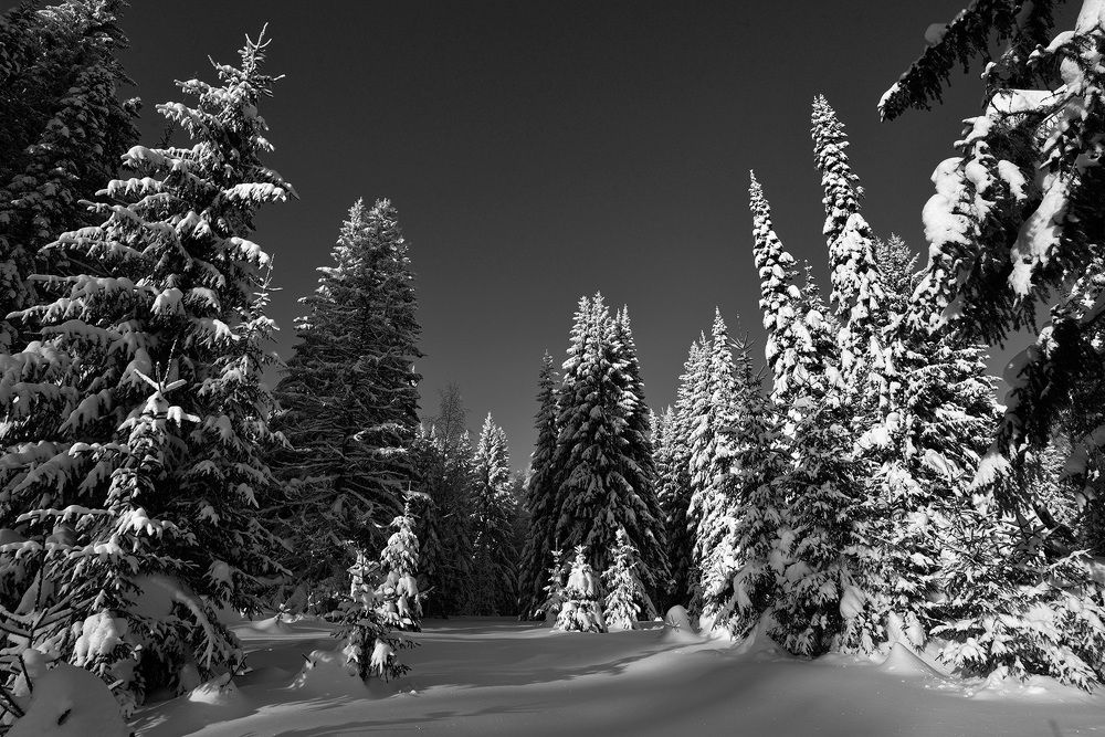 В зимнем царстве.