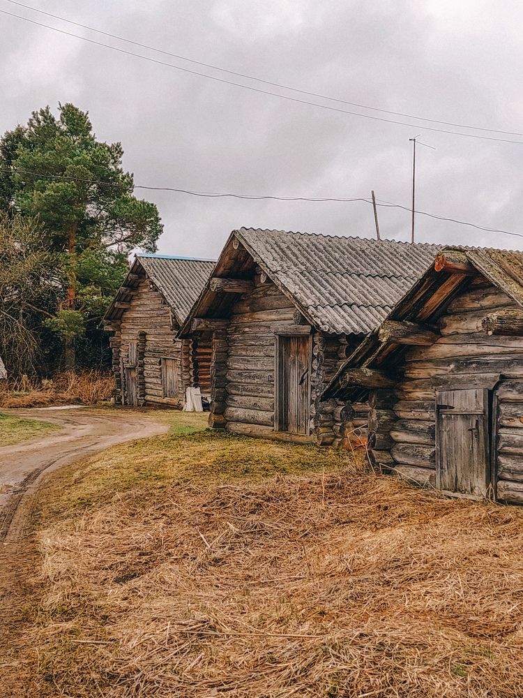 Photograph by Алёна Вороная