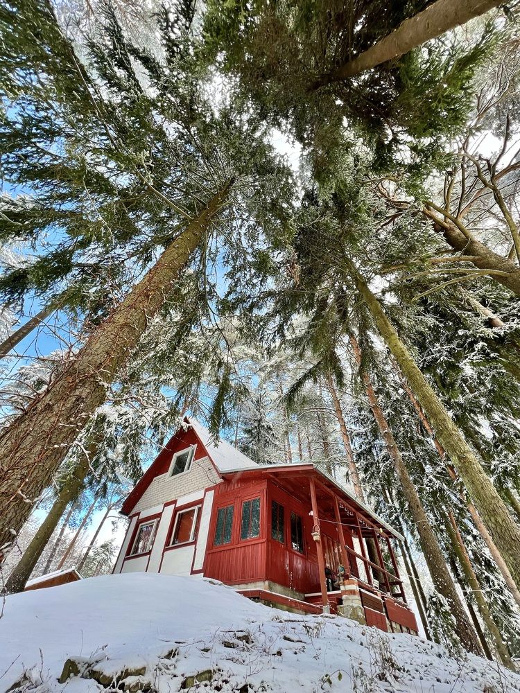 Фотография автора Алексан Арт