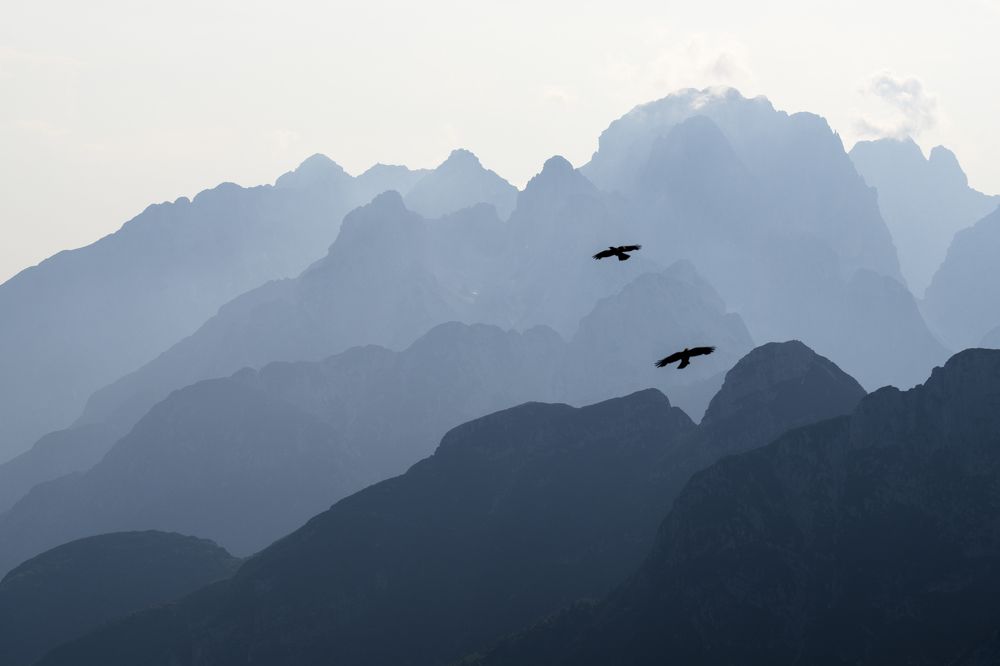 Photograph by Herve Rannu