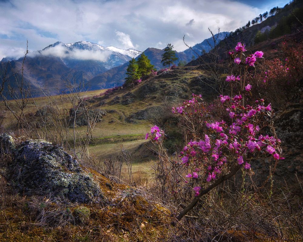 Photograph by Чичкин Валерий