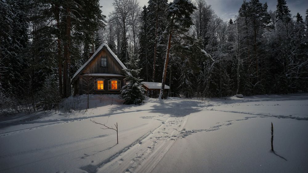 Photograph by Алексей Глухов