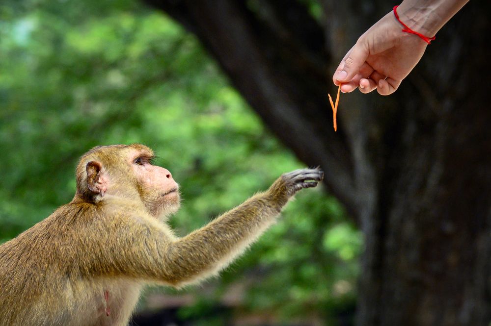 Photograph by Борис Недосеков