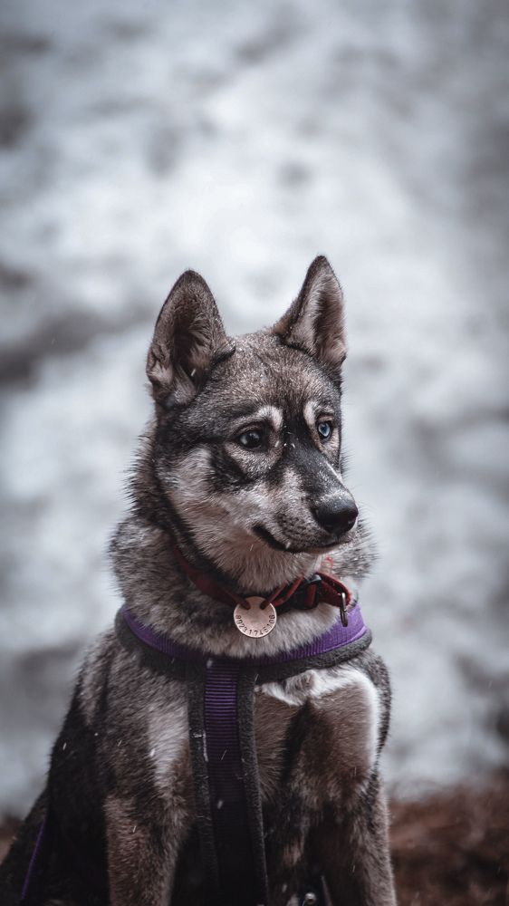 Photograph by Алина