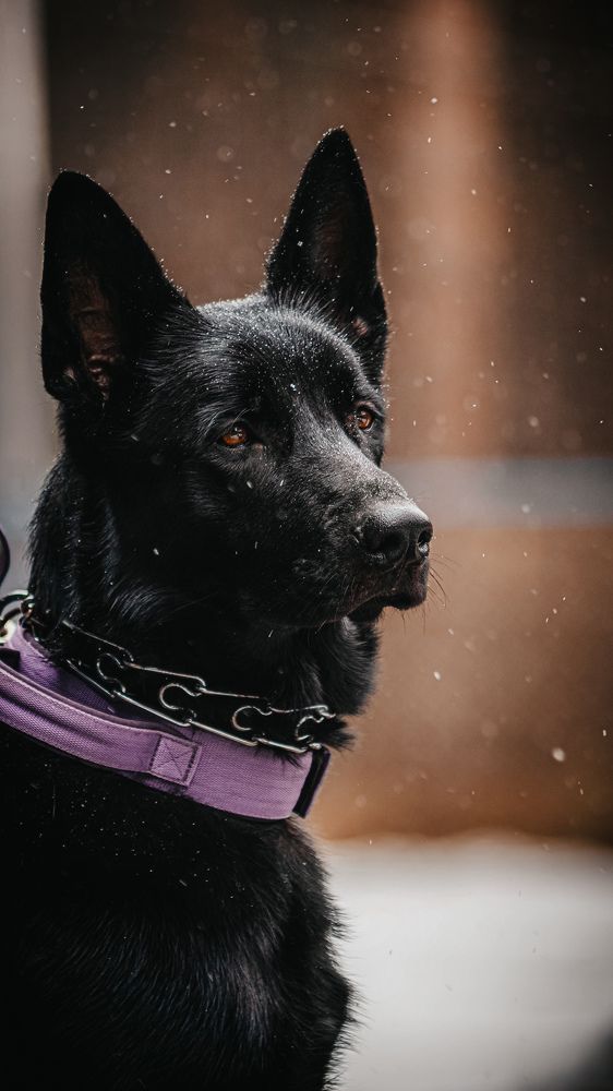 Photograph by Алина