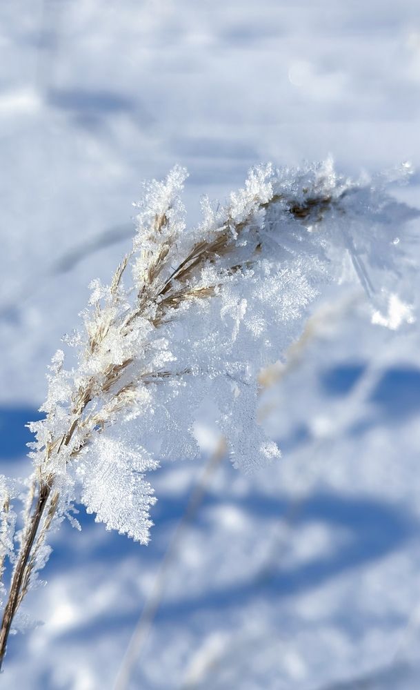 Снежинки в виде листьев