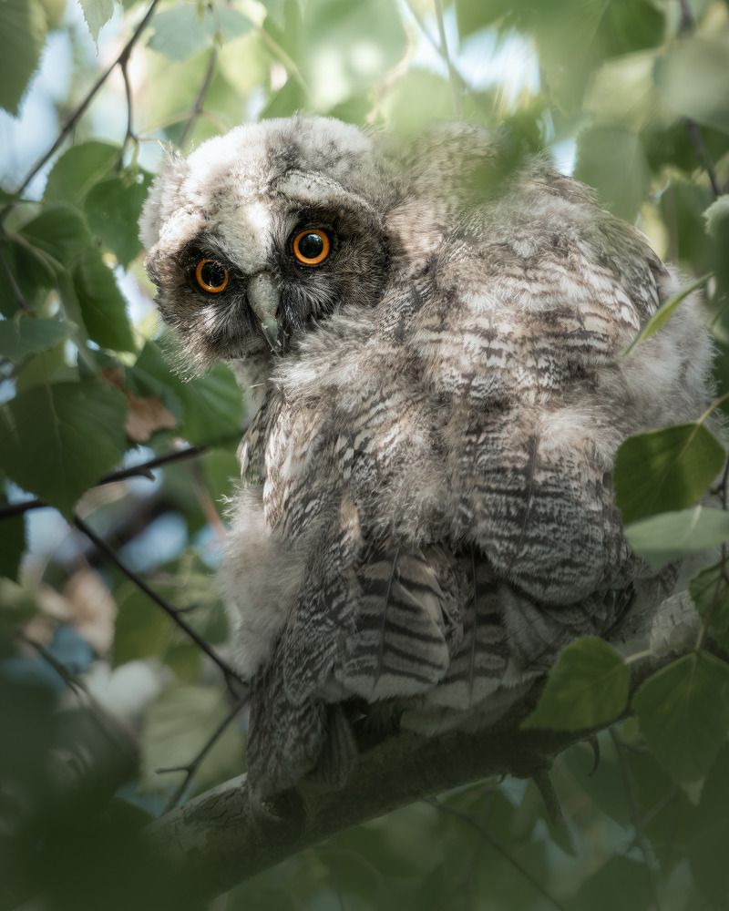 Photograph by Поляков Михаил