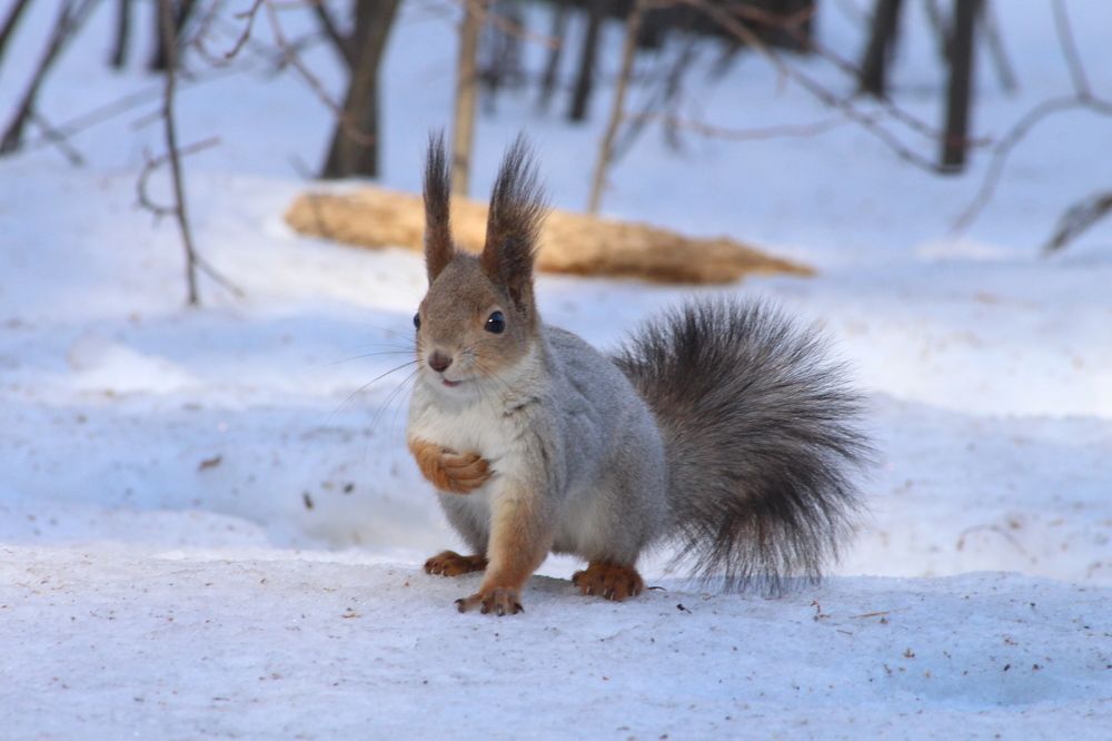 Photograph by Вахромова Елена